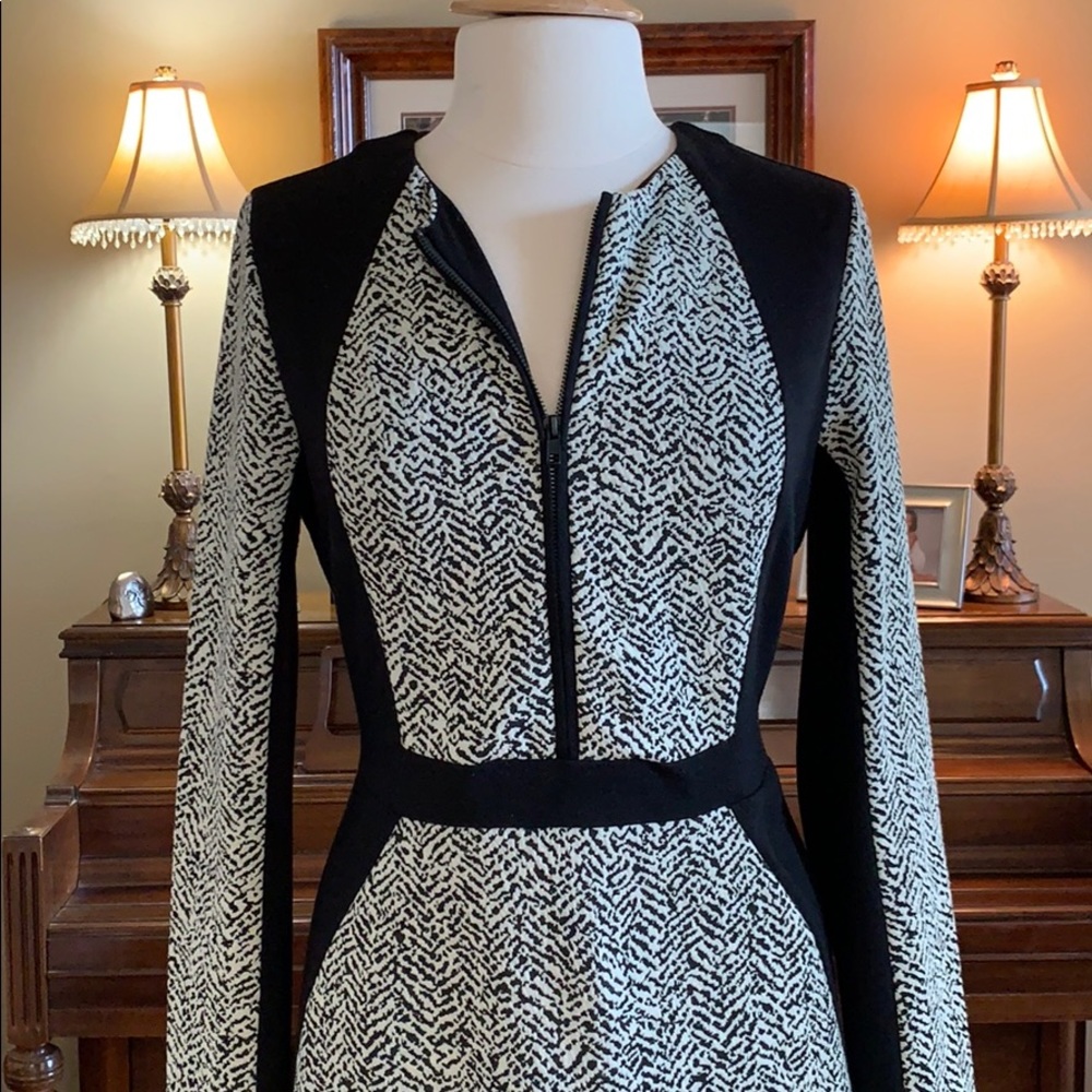 Size M Black & White winter dress